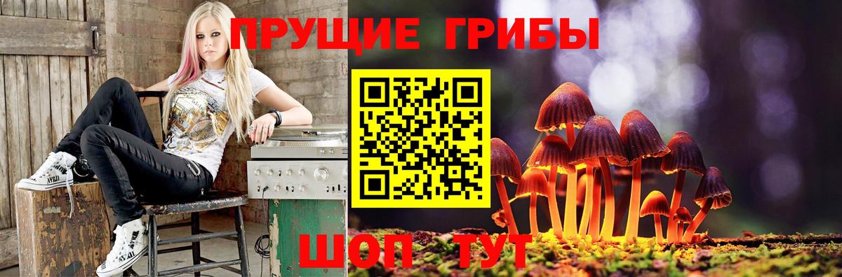 Галлюциногенные грибы мухоморы  Вход с VPN  Славгород 